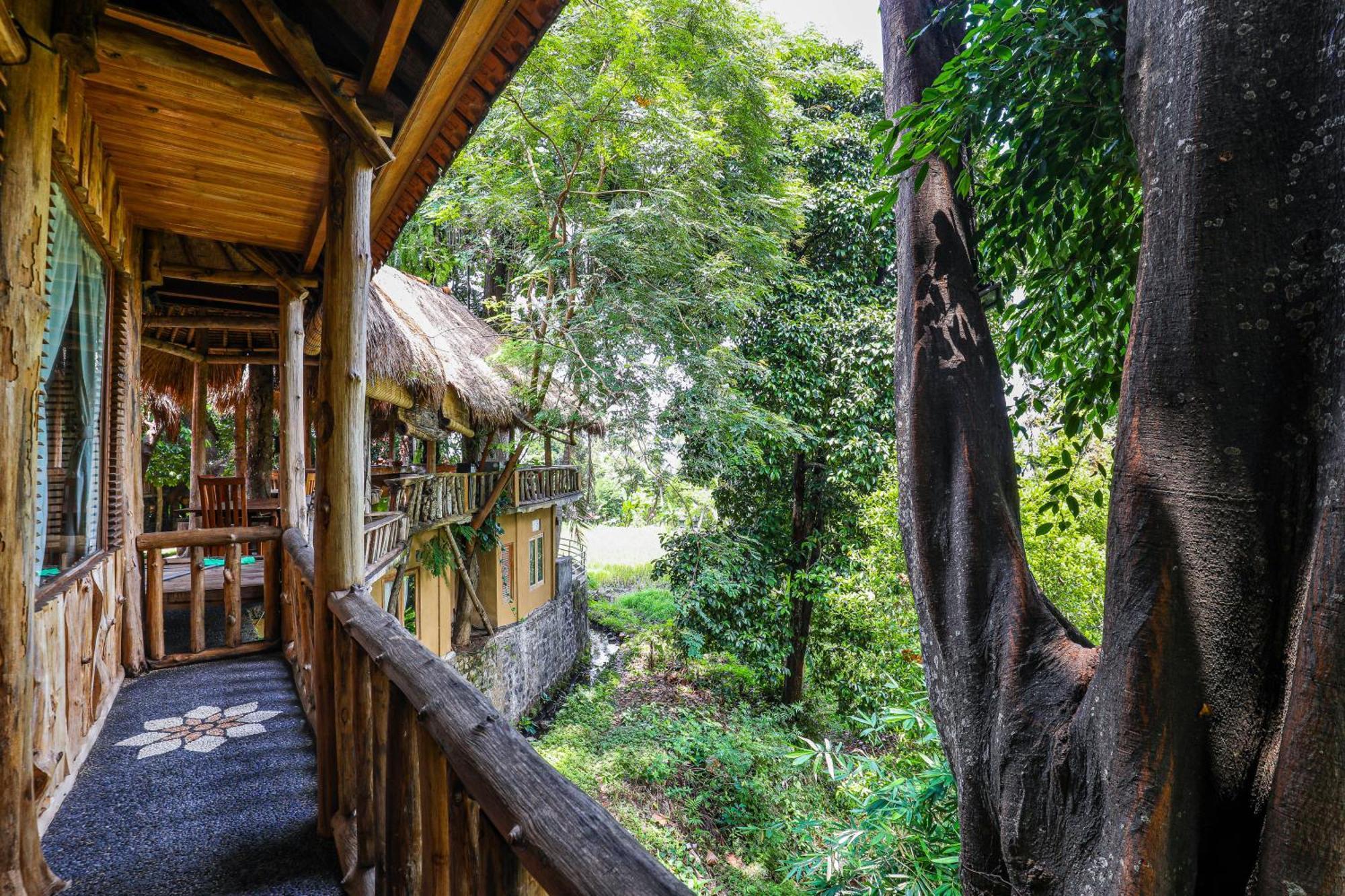 Omunity Bali Hotell Singaraja Eksteriør bilde