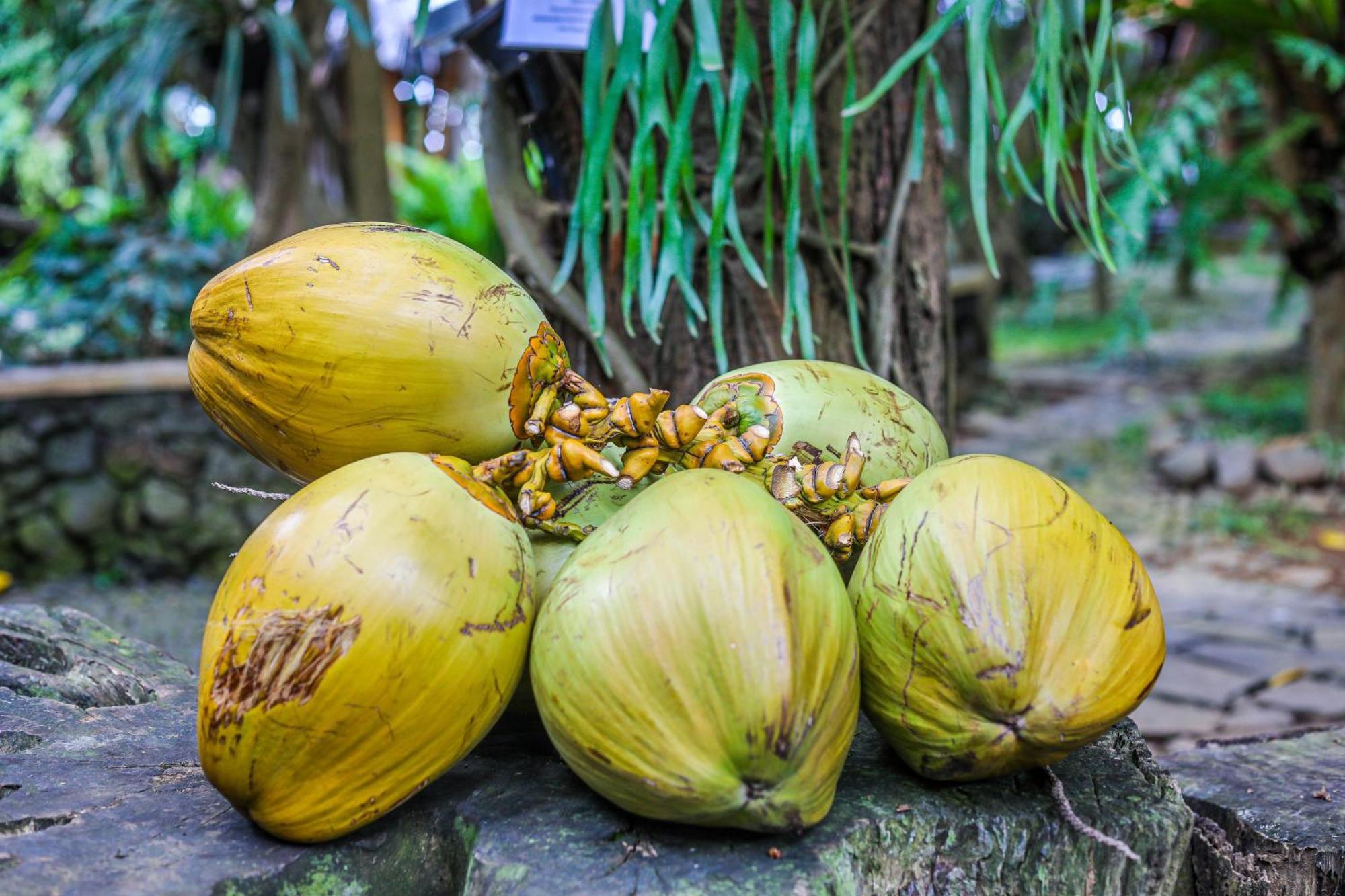 Omunity Bali Hotell Singaraja Eksteriør bilde
